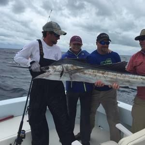 Meet your Posher, Art